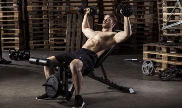 Workout Benches: Building Strength and Endurance Safely