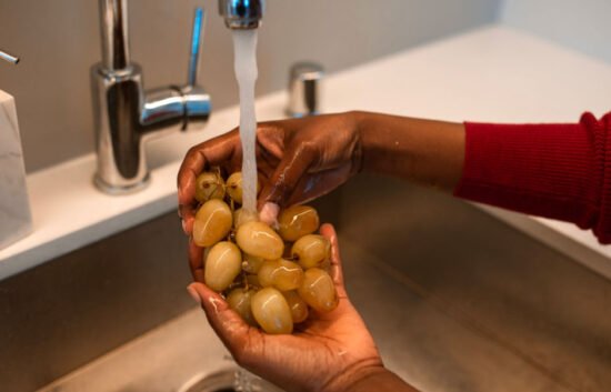How to Clean and Maintain Your Garbage Disposal