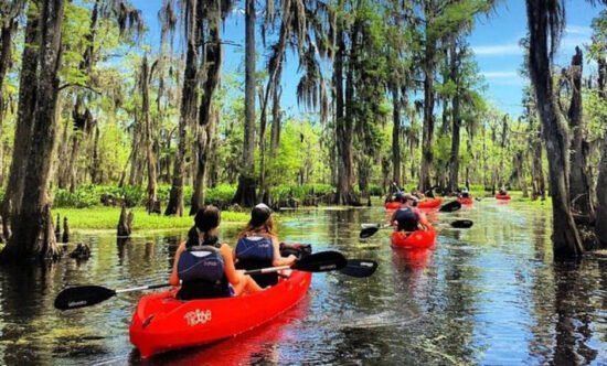 The Top 5 Outdoor Activities in New Orleans