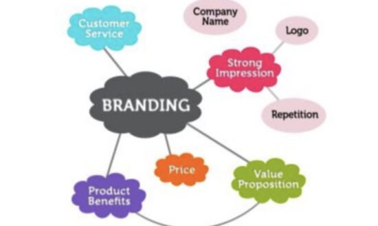 Why-Opt-For-Expert-Graphic-Design-Services-In-Melbourne-From-BrandVillage