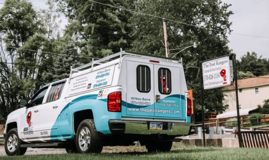 Local-Pest-Control-Services-in-Murfreesboro