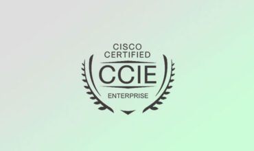 Can you find a good job without a CCIE certificate? - LucyKingdom