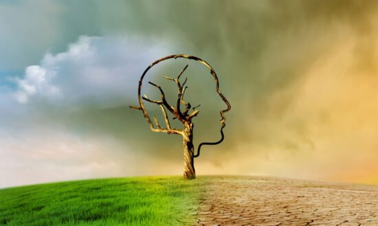 The Intersection of Science and Policy in IB Environmental Systems and Societies