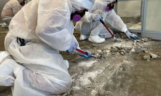 The Importance of Professional Asbestos Removal Services