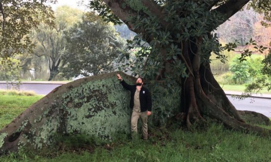 Unlocking the Beauty of Sydney's Greenery