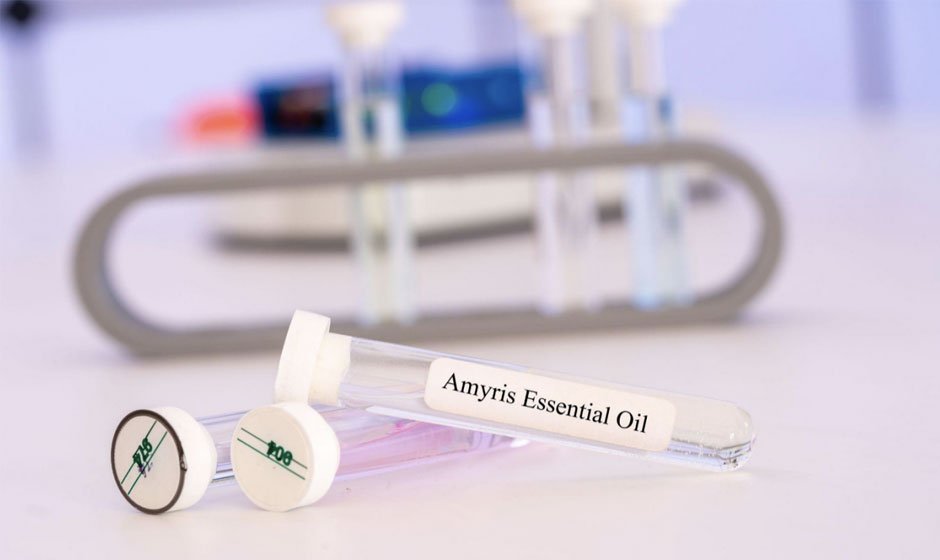 What Is Amyris Essential Oil?