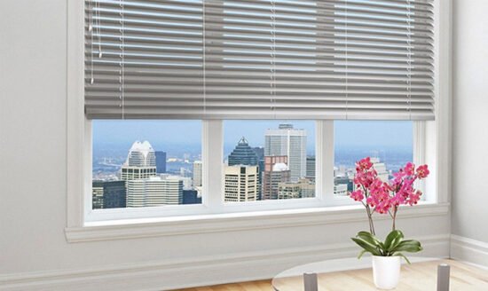 Window-Elegance-Unveiled