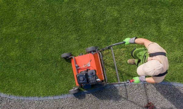 Breathing New Life into Your Lawn