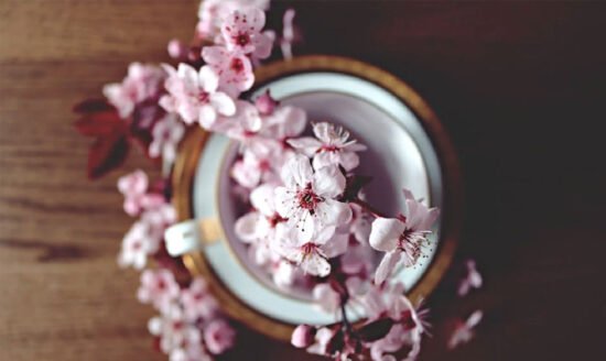 7-Best-Gifts-For-Moms-In-2024