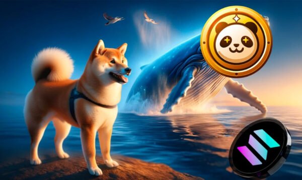 Is Shiba Inu Coin A Better Investment Than Solana?