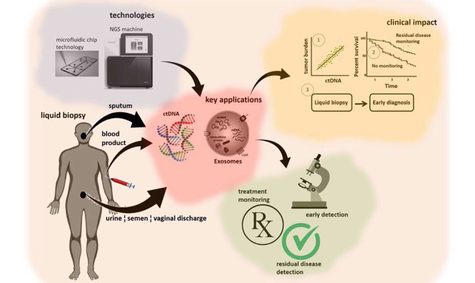 How Tumor Biopsies Provide Insights for Personalized Cancer Care