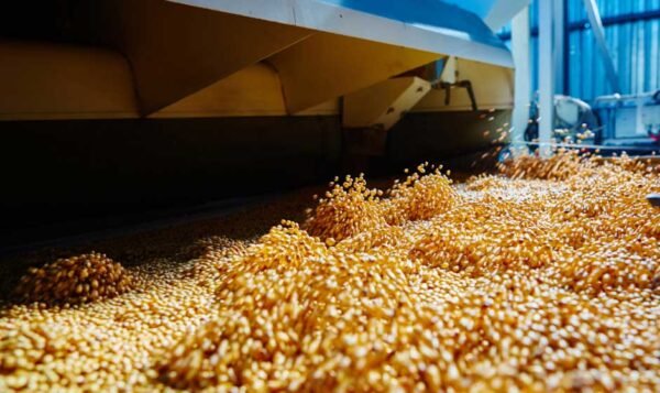 How Automation is Changing the Feed Milling Industry