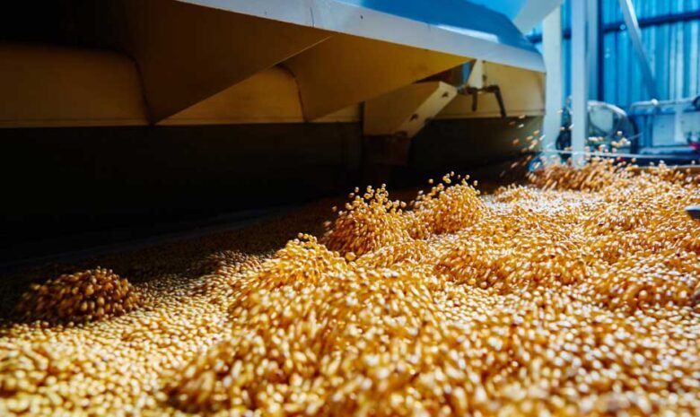 How Automation is Changing the Feed Milling Industry