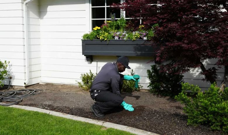 Protect Your Home with the Top 5 Pest Control Services in Rancho Cucamonga