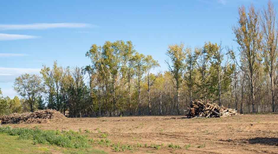 A Comprehensive Guide to Selling Land Without Stress
