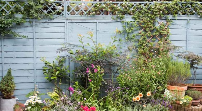 What You Need to Ensure Your Garden Always Looks Best on the Street