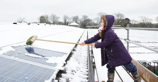 are-solar-panels-worth-it-in-minnesota-cold-is-goo-1
