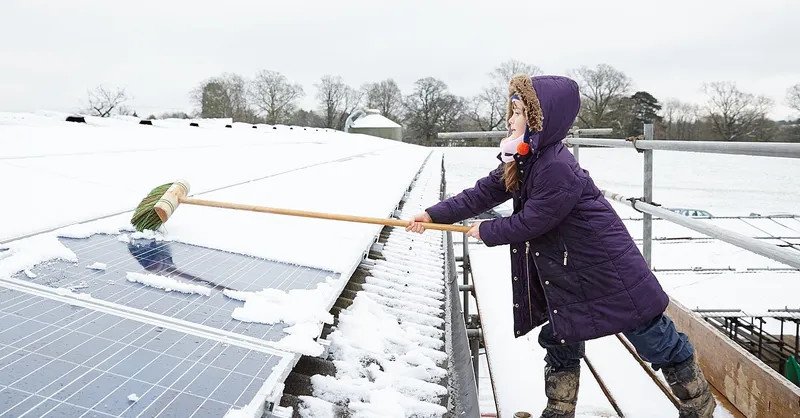are-solar-panels-worth-it-in-minnesota-cold-is-goo-1