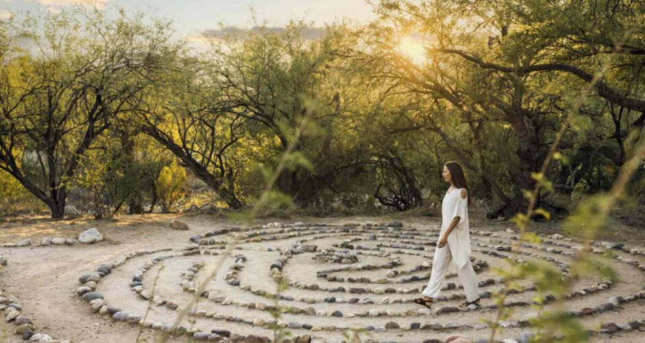 How Tropical Wellness Retreats Combat Brain Fog and Chronic Burnout